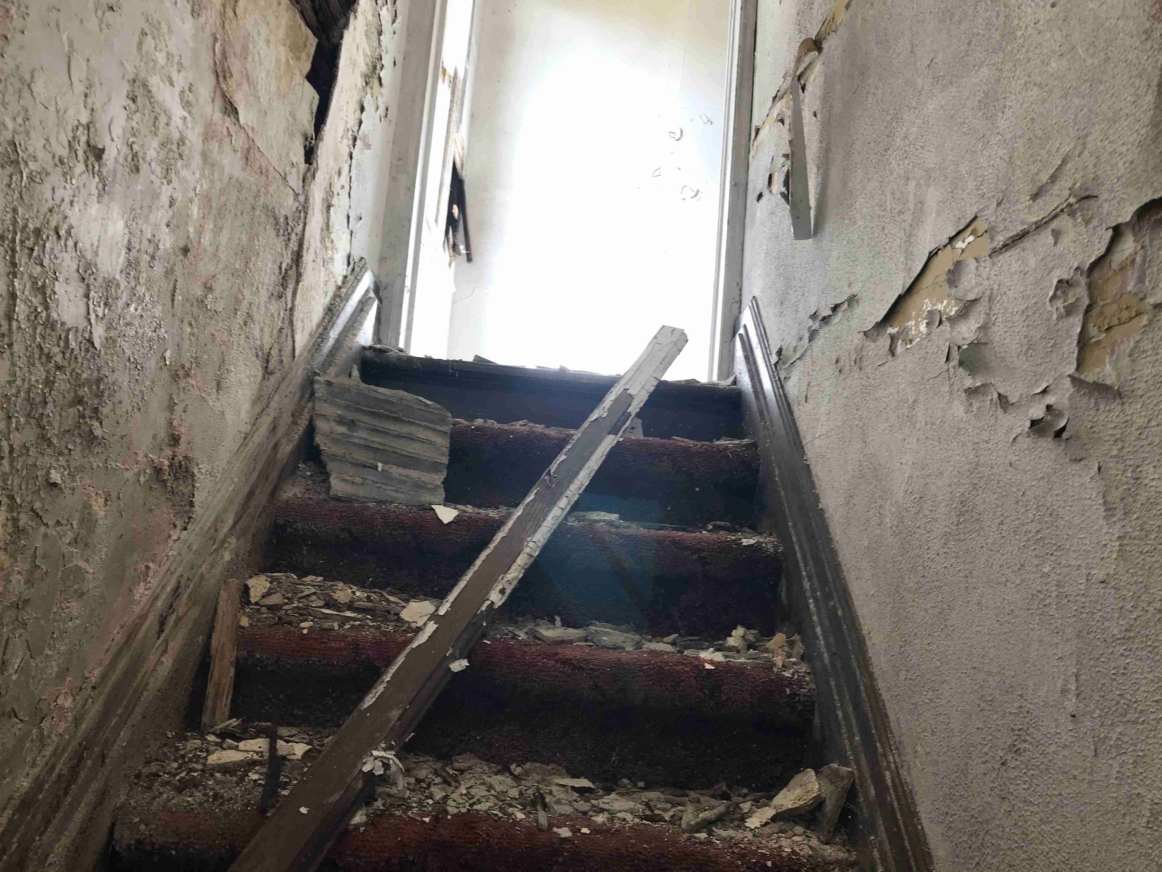 Photo Oct 13, 1 57 30 PM.jpg